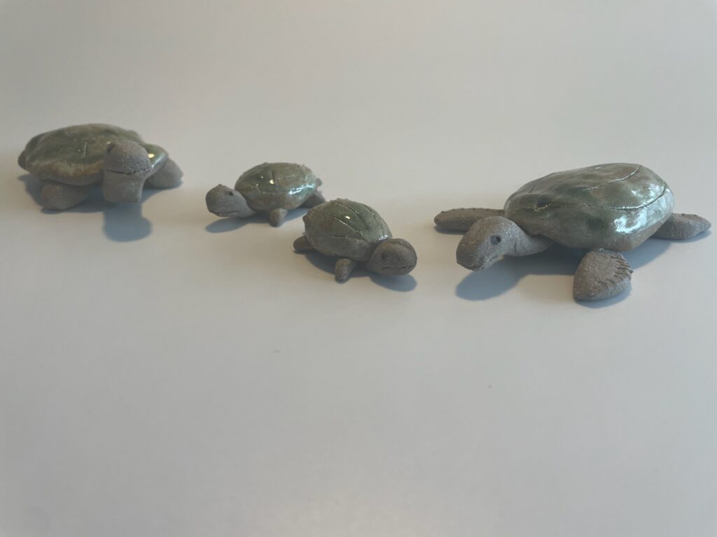 Skildpadder - forælder og barn